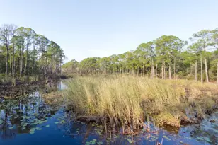 2046 W County Hwy 30A, Santa Rosa Beach, FL 32459 - Photo 61