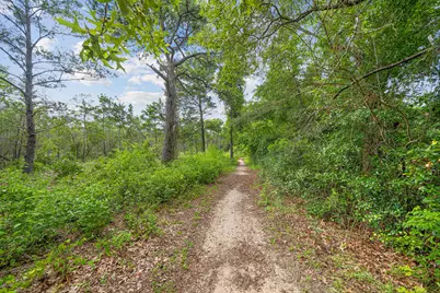 42 Via Largo # 7-B, Santa Rosa Beach, FL 32459 - Photo 23