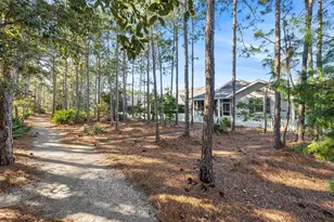 81 Jack Knife Drive, Inlet Beach, FL 32461 - Photo 13
