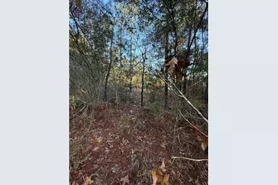 Lot 5 Blk 54 On Forest Lane, Defuniak Springs, FL 32433 - Photo 7