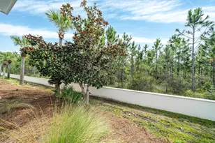 133 Cypress Passage, Santa Rosa Beach, FL 32459 - Photo 45