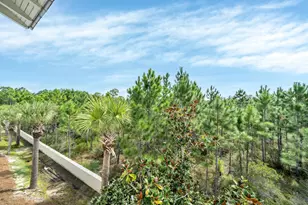 133 Cypress Passage, Santa Rosa Beach, FL 32459 - Photo 51