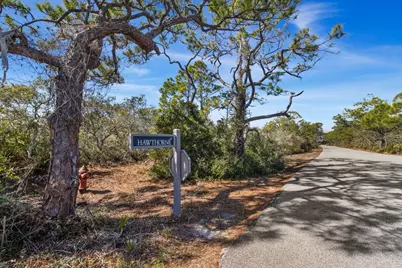 1644 Hawthorne Lane, Saint George Island, FL 32328 - Photo 15
