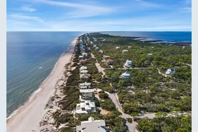 1644 Hawthorne Lane, Saint George Island, FL 32328 - Photo 9