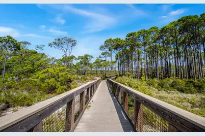 1644 Hawthorne Lane, Saint George Island, FL 32328 - Photo 21