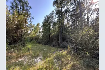B & C New Ebenezer Road, Laurel Hill, FL 32567 - Photo 1