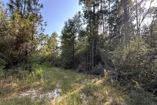 B & C New Ebenezer Rd, Laurel Hill, FL 32567 - Photo 1