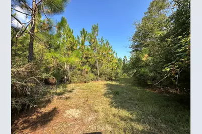 B & C New Ebenezer Road, Laurel Hill, FL 32567 - Photo 11