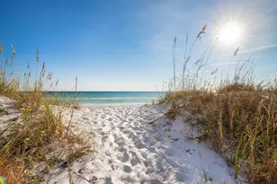 12 Jan Ct, Inlet Beach, FL 32461 - Photo 49