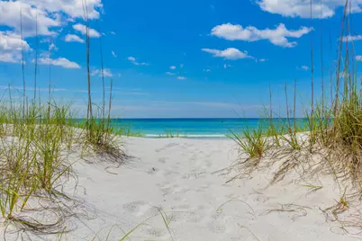 12 Jan Court, Inlet Beach, FL 32461 - Photo 47