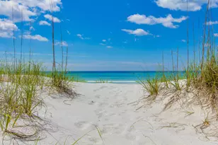 12 Jan Ct, Inlet Beach, FL 32461 - Photo 47