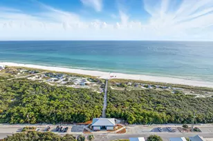 135 Grayling Way, Inlet Beach, FL 32461 - Photo 45
