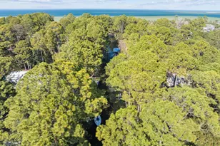 1525 W Hewett Rd, Santa Rosa Beach, FL 32459 - Photo 55