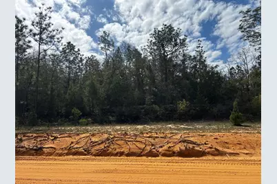 Tbd Elkcam Boulevard, Chipley, FL 32428 - Photo 1