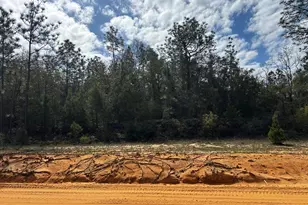Tbd Elkcam Blvd, Chipley, FL 32428 - Photo 1