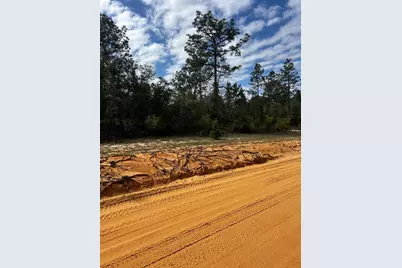 Tbd Elkcam Boulevard, Chipley, FL 32428 - Photo 3