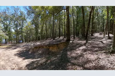 Lot 1 Oak Ridge Road, Defuniak Springs, FL 32433 - Photo 21