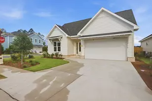 290 Green Heron St, Watersound, FL 32461 - Photo 1