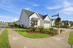 290 Green Heron St, Watersound, FL 32461 - Photo 7
