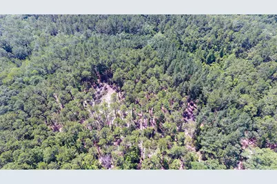 Tbd Hwy 177A #Lot 22, Bonifay, FL 32425 - Photo 7