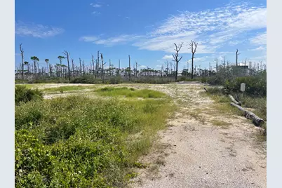 206 Bent Tree Road, Cape San Blas, FL 32456 - Photo 3