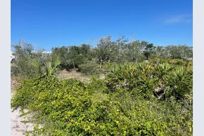 206 Bent Tree Road, Cape San Blas, FL 32456 - Photo 5