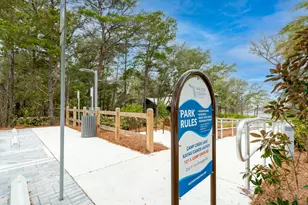 102 Camp Creek Rd S, Inlet Beach, FL 32461 - Photo 69