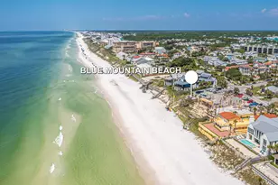 69 Blue Wave Dr, Santa Rosa Beach, FL 32459 - Photo 59