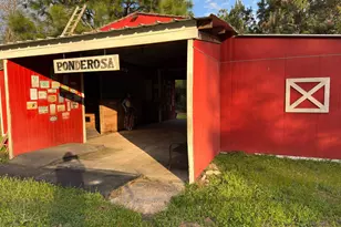 3955 Hwy 77, Chipley, FL 32428 - Photo 3