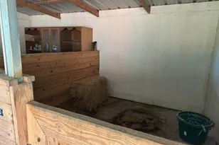 3955 Hwy 77, Chipley, FL 32428 - Photo 51