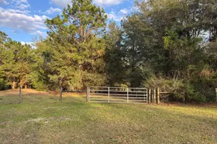 3955 Hwy 77, Chipley, FL 32428 - Photo 11