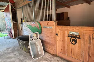 3955 Hwy 77, Chipley, FL 32428 - Photo 49