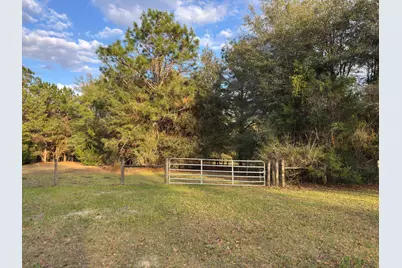 3955 Hwy. 77, Chipley, FL 32428 - Photo 9