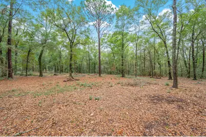 4.69 Acres Jv Woolley Road, Crestview, FL 32539 - Photo 9