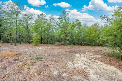 4.69 Acres Jv Woolley Road, Crestview, FL 32539 - Photo 7