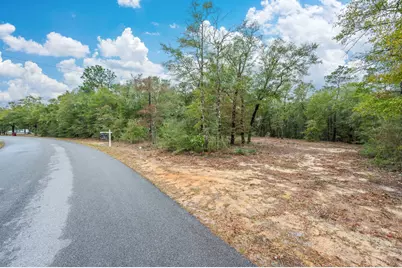 4.69 Acres Jv Woolley Road, Crestview, FL 32539 - Photo 5