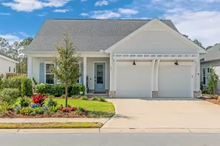 197 Suwannee Dr, Inlet Beach, FL 32461 - Photo 1
