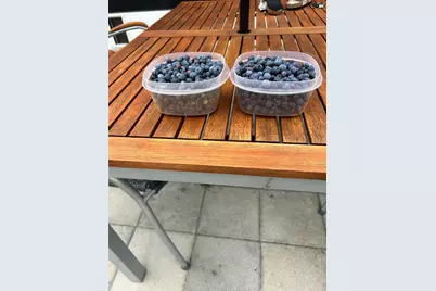 5997 Forest Bay Avenue, Gulf Breeze, FL 32563 - Photo 59