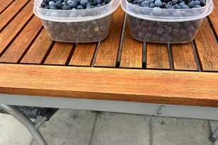 5997 Forest Bay Ave, Gulf Breeze, FL 32563 - Photo 59