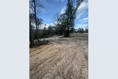 107 Pike Pond Road, Chipley, FL 32428 - Photo 11