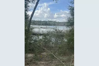 107 Pike Pond Road, Chipley, FL 32428 - Photo 5