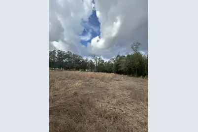 107 Pike Pond Road, Chipley, FL 32428 - Photo 23