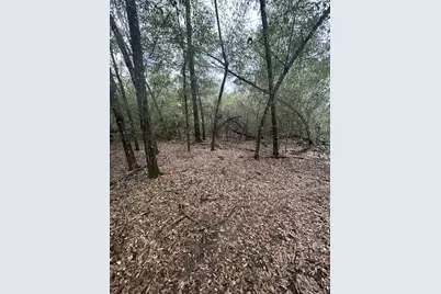 107 Pike Pond Road, Chipley, FL 32428 - Photo 29