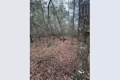 107 Pike Pond Road, Chipley, FL 32428 - Photo 31