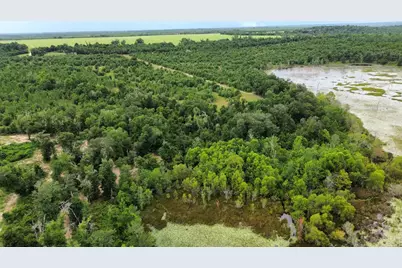 107 Pike Pond Road, Chipley, FL 32428 - Photo 43