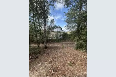 107 Pike Pond Road, Chipley, FL 32428 - Photo 21