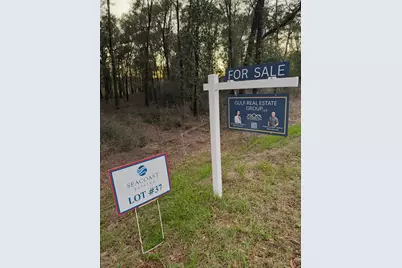 Lot 37 Holly Lake Ct, Defuniak Springs, FL 32433 - Photo 17