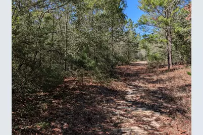 Tbd Willow Bend Drive, Defuniak Springs, FL 32433 - Photo 3