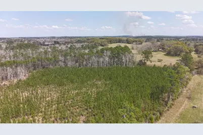 Tract#6336 Sand Path Road, Bonifay, FL 32425 - Photo 9