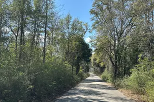 Tract#6336 Sand Path Rd, Bonifay, FL 32425 - Photo 1